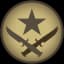 T icon